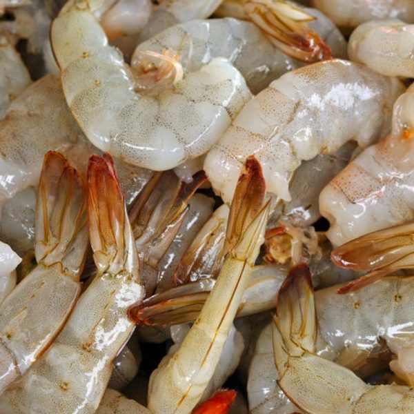 زنجیره شیلات و آبزیان