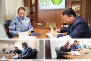 توسعه زنجیره تولید و بازاریابی توتون در استان گلستان