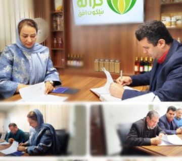 توسعه زنجیره تولید و بازاریابی توتون در استان گلستان