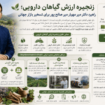 دکتر میر مهیار میرصالح‌پور، طراح زنجیره ارزش گیاهان دارویی