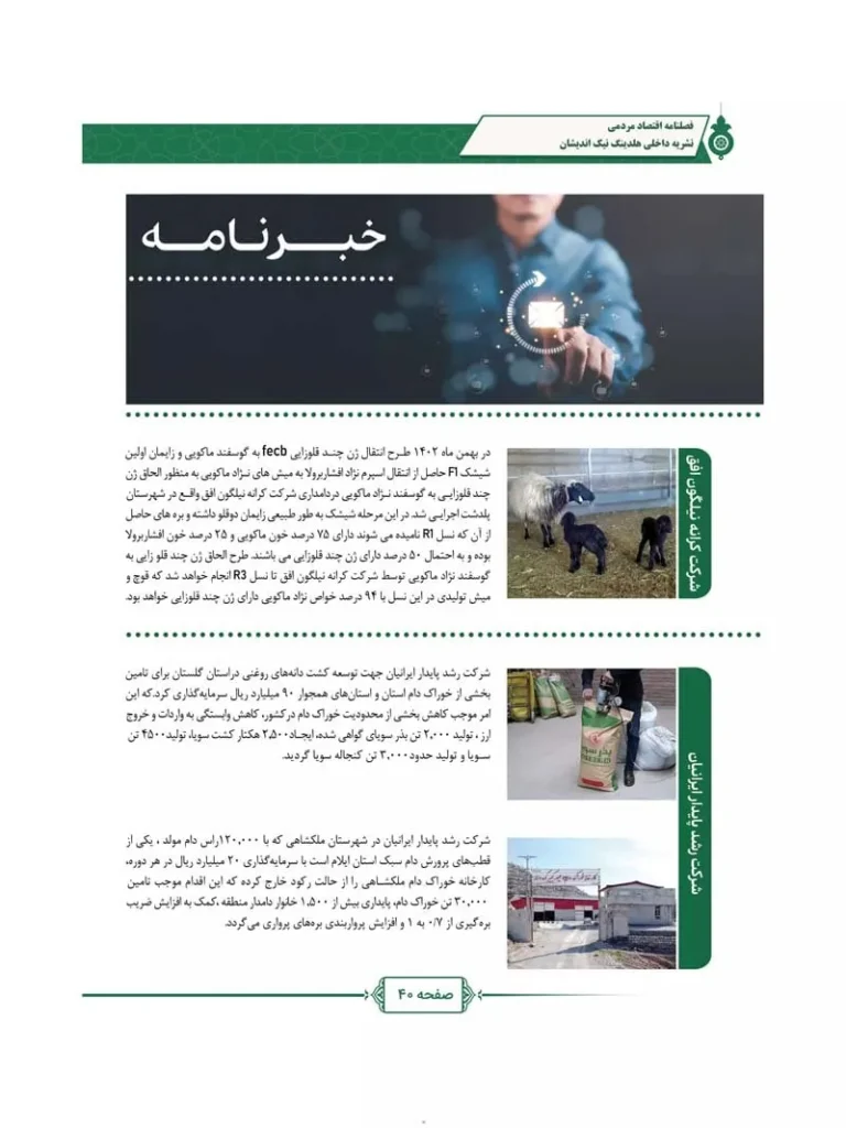 فصل نامه هلدینگ نیک اندیشان بازرگان پارسه (شماره سه)