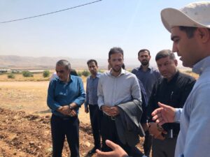 باغ زیتون استان لرستان