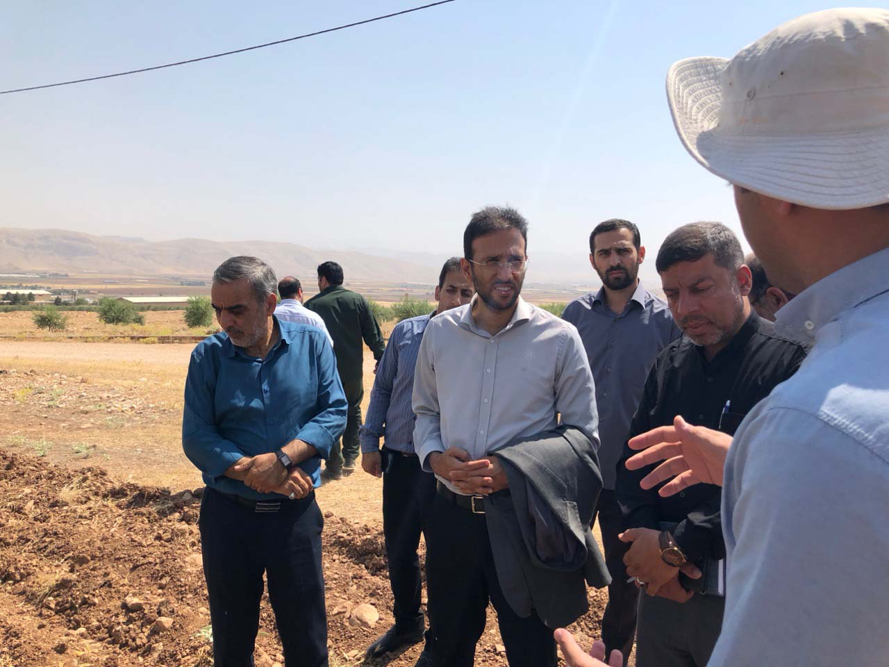 کشت-زیتون-گروه-اقتصاد-مردمی