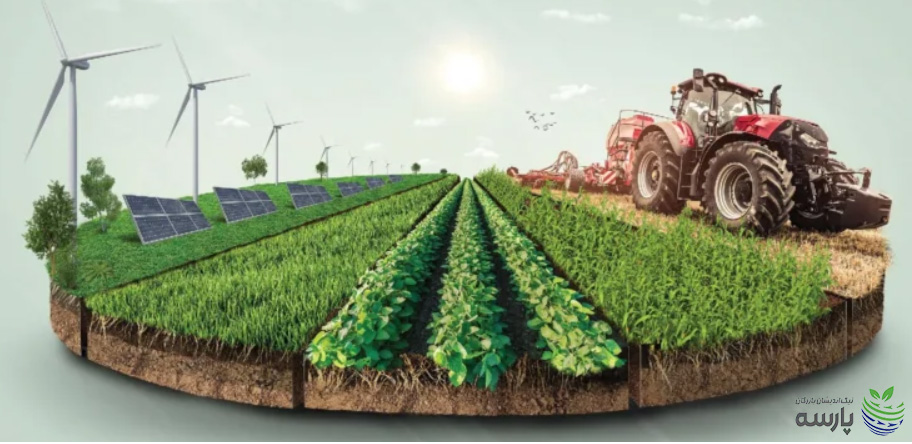 اقتصاد مردمی