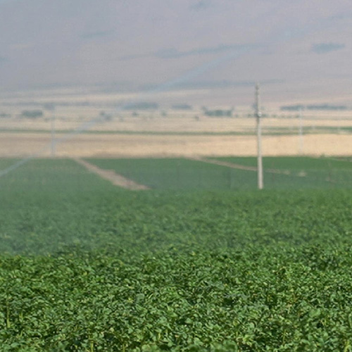 بهره وری مزارع در شهرکرد