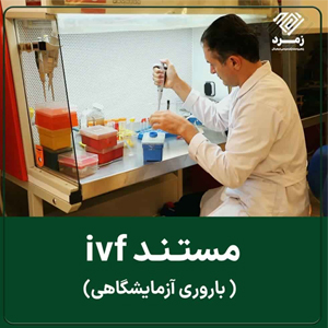 افزایش بهرهوری دام سبک با حفظ نژاد بومی و روش IVF