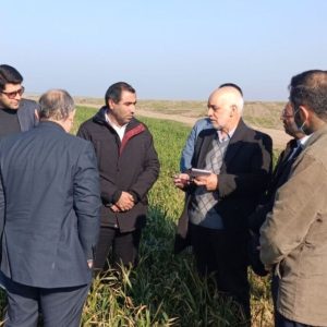 بازدید مدیرعامل شرکت رشد پایدار ایرانیان از کشت و صنعت مغان با هدف توسعه همکاریها در حوزه دام و زراعت