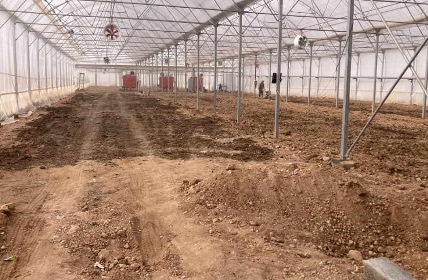 بازدید از گلخانه تولید نشاء و قلمه در شهرکرد اجرای طرح‌های کشاورزی مدرن