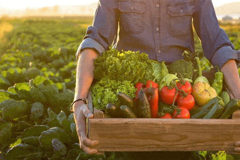 نوآوری در کشاورزی