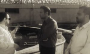 پرورش صدف خوراکی
