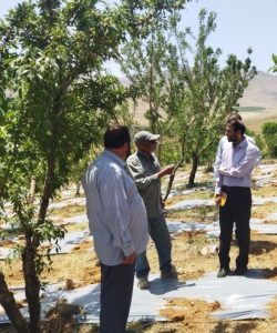بازدید دکتر میرصالح پور از دامپروری و نهالستان الگویی در چهارمحال و بختیاری