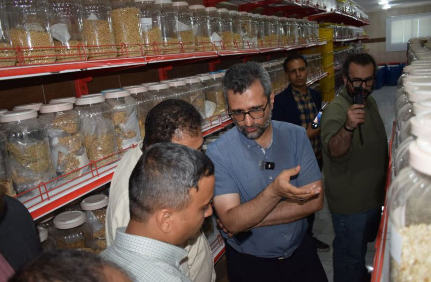 توسعه کشت دانه‌های روغنی