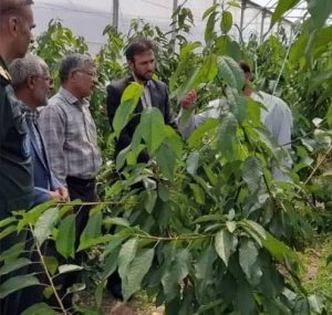 بازدید دکتر میرصالح‌پور از گلخانه دکتر کبیری در چهارمحال و بختیاری