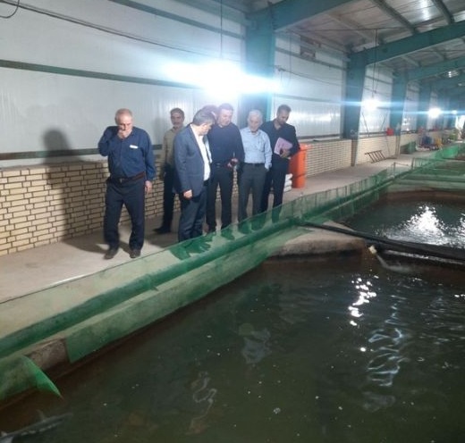 بازدیدازکارگاه پرورش ماهی خاویار خوزستان