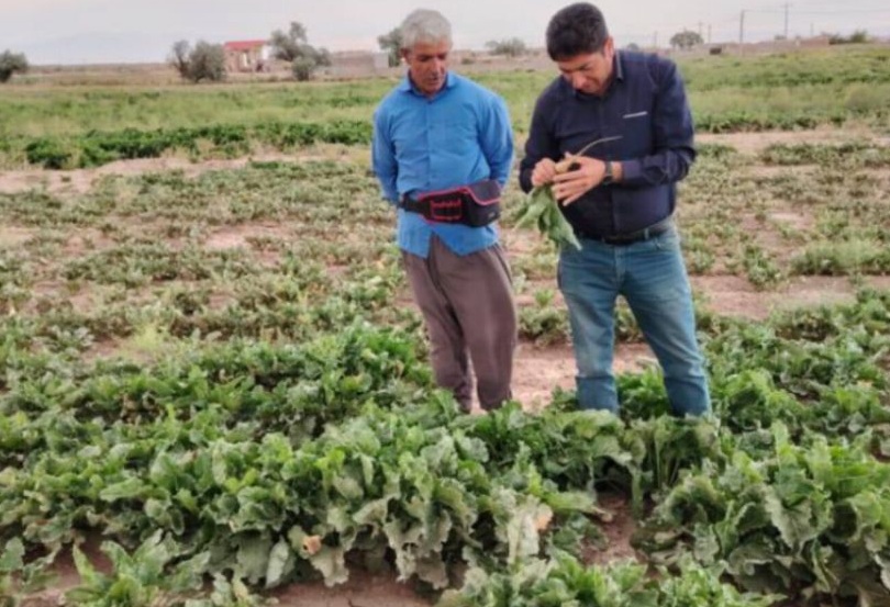اداره جهاد کشاورزی شهرستان