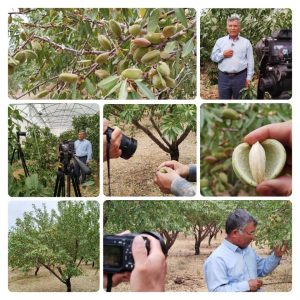 باغات-گلخانه-ای