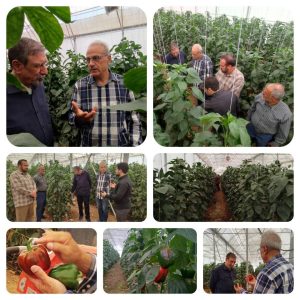 گلخانه لوده