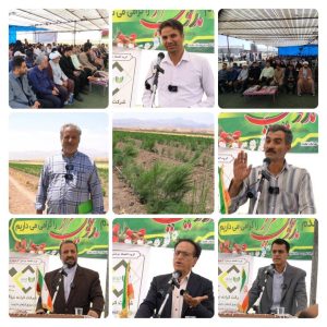 برگزاری روز مزرعه مارچوبه در نهاوند