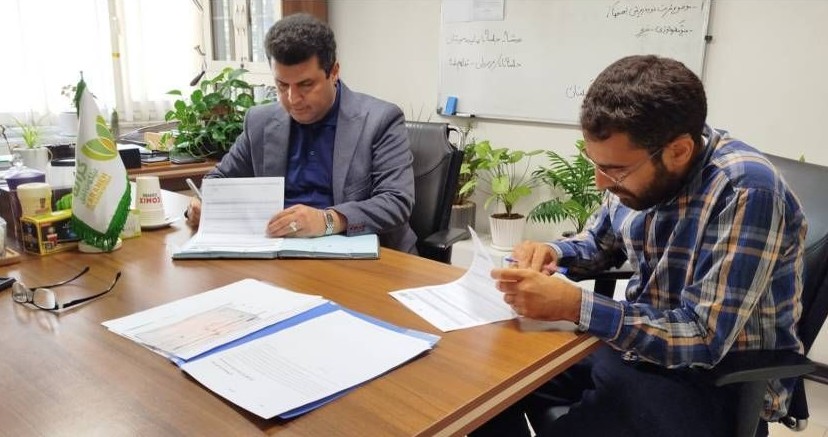 کشت چای ترش و محصولات صیفی در مزارع الگویی شوش