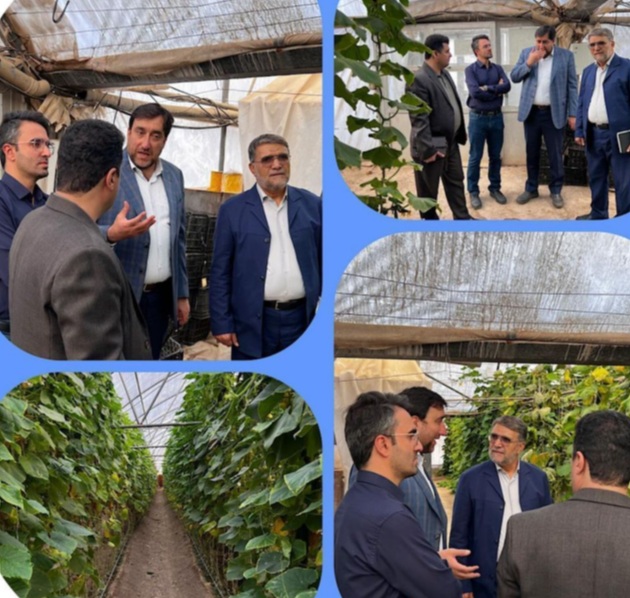 بازدید از ظرفیت‌های نگین بذر اصفهان در تولید بذور