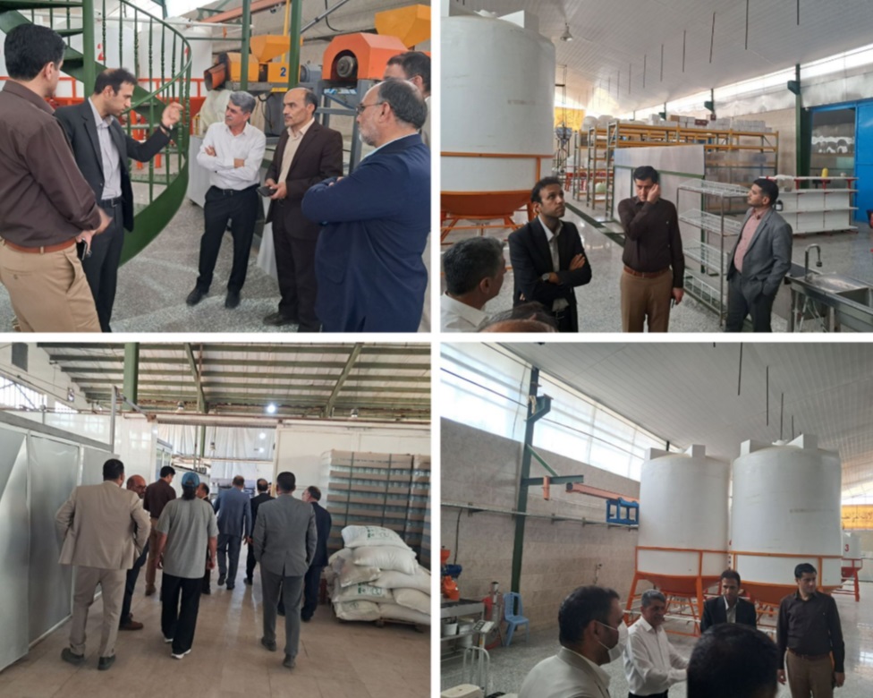 بازدید دکتر میرصالح‌پور از کارخانه فرآوری دانه‌های روغنی بیرجند