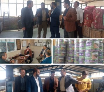 بازدید کرانه نیلگون افق از شرکت آبیار بهینه سبز در چناران