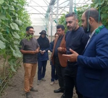 بازدید کرانه نیلگون افق از گلخانه بیتا ژن گستر جام در چناران
