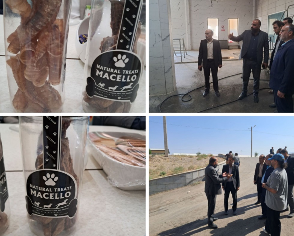 دکتر میرصالح‌پور، مدیرعامل گروه اقتصاد مردمی، از کشتارگاه مدرن بیرجند بازدید کرد و بر گسترش الگوهای نوین تولید و تکمیل زنجیره ارزش گوشتی در استان خراسان جنوبی تأکید نمود.