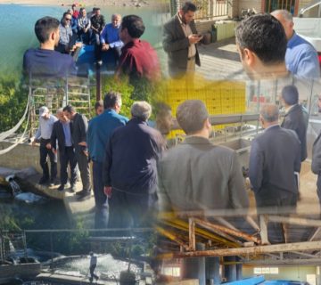 رصد میدانی تولید آبزیان آذربایجان شرقی توسط هیئت عالی‌رتبه نگار نصر