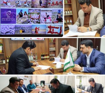 قرارداد طرح ۸۰ هکتاری زعفران در خراسان رضوی