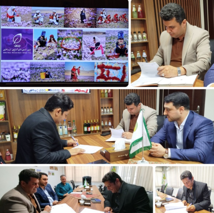 قرارداد طرح ۸۰ هکتاری زعفران در خراسان رضوی