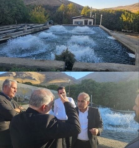 سرمایهگذاری نگار نصر برای افزایش بهرهوری تولید قزلآلا در نهاوند