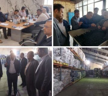 بازدید کارخانه iem ارزیابی عملکرد تحول سازمانی