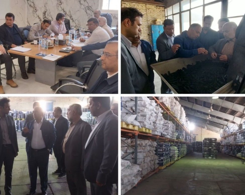 بازدید-کارخانه-iem-ارزیابی-عملکرد-تحول-سازمانی