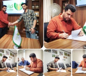 کشت پاییزه چغندر قند