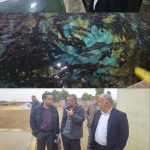 بازدید مدیرعامل نگار نصر از مزرعه پرورش خاویار قم