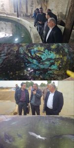 بازدید مدیرعامل نگار نصر از مزرعه پرورش خاویار قم