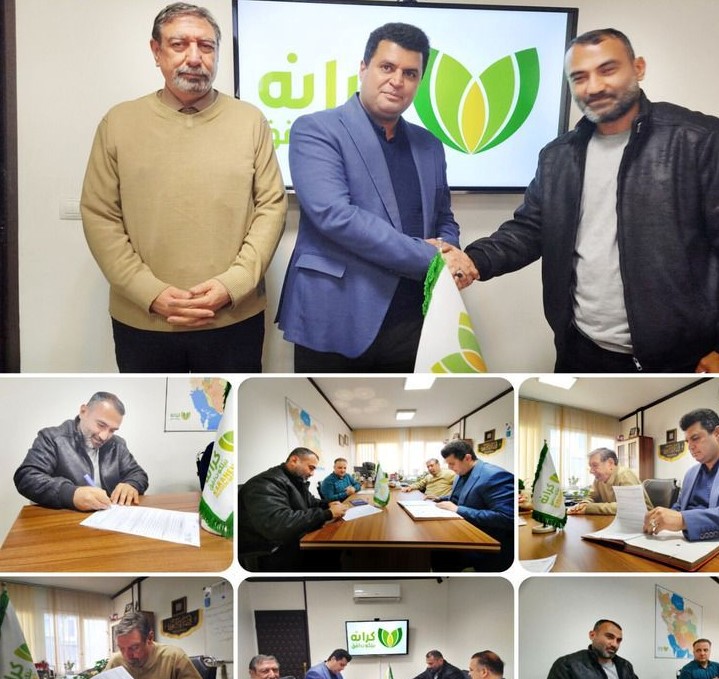 اجرای طرح گلخانه طبقاتی هیدروپونیک تولید توت‌فرنگی در مراغه