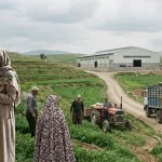 ارکان اقتصاد مردمی در ایران | از سرمایه‌گذاری خرد تا زنجیره‌های ملی