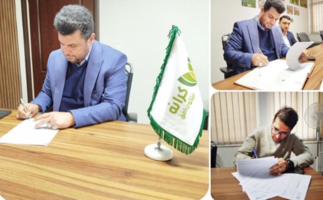 تولید-بازاریابی-توت-فرنگی-گلخانه-ای