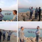 پرورش ماهی ماهور