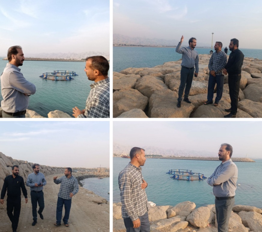 پرورش ماهی ماهور