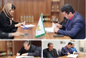 توسعه زنجیره ارزش سیاهدانه گلستان