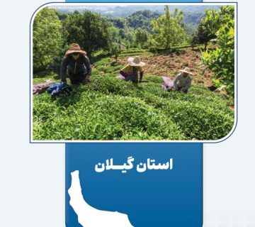 آیین بهره‌برداری از طرح‌های گروه اقتصاد مردمی در استان گیلان