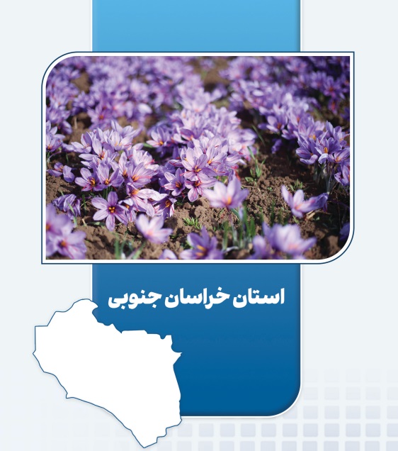 بهره‌برداری از ۵ طرح اقتصاد مردمی در خراسان جنوبی | ایجاد ۱,۰۴۲ شغل پایدار