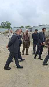 بازدید مدیرعامل گروه اقتصاد مردمی از مرکز پرورش ماهی مازندران و بررسی توسعه طرح‌ها