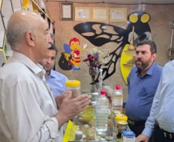 بازدید مهندس اکبرپور مدیرعامل شرکت یاس نوین پارسه از مجتمع پرورش زنبور عسل علی‌خانی در لرستان