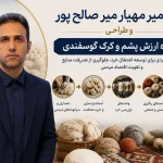 دکتر میر مهیار میر صالح پور و زنجیره ارزش پشم و کرک گوسفندی