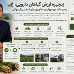 دکتر میر مهیار میرصالح‌پور، طراح زنجیره ارزش گیاهان دارویی