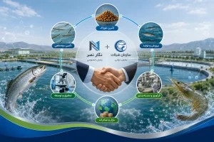 همافزایی نگار نصر و شیلات استان با حضور دکتر پاینده و مدیرکل شیلات